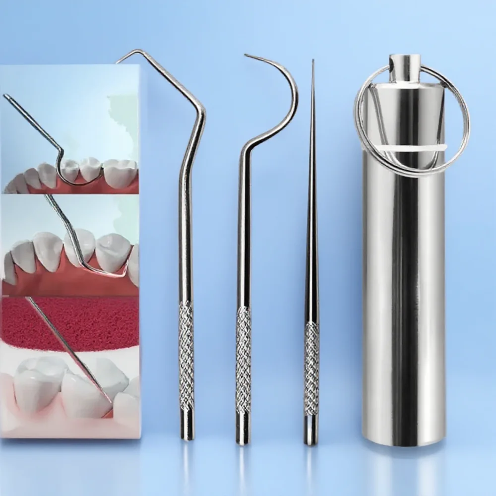 

3 Pcs Stainless Steel Toothpick Set Dental Care Floss Tool Portable Keychain Toothpicks for Travel Oral Hygiene Teeth Cleaning