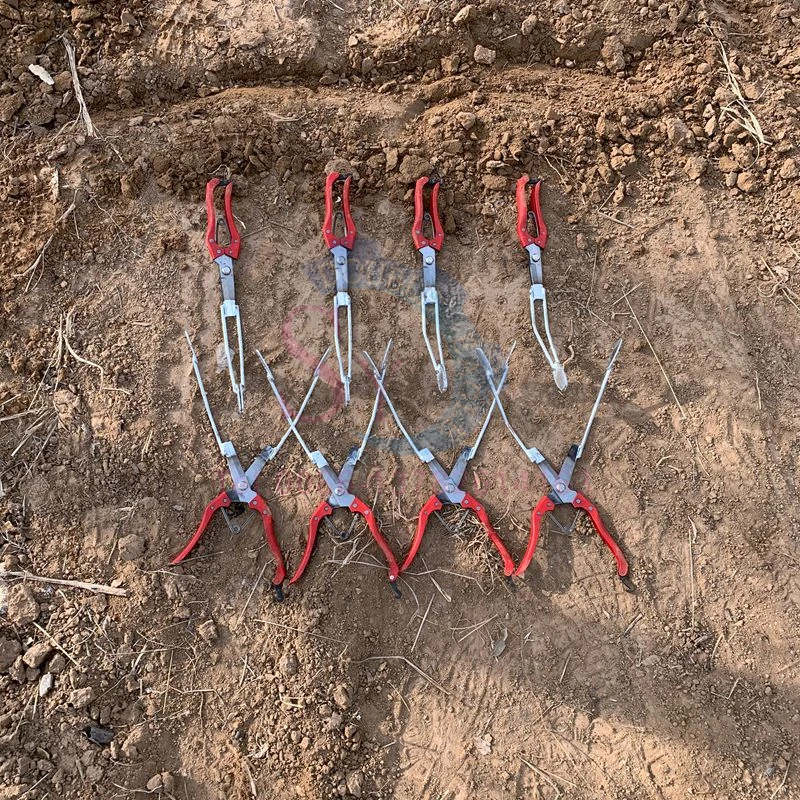 Wholesale Price Simple Profession Planting Sweet Potato Seedling Transplanting Machine Agricultural Manual Seedling Planter Clip