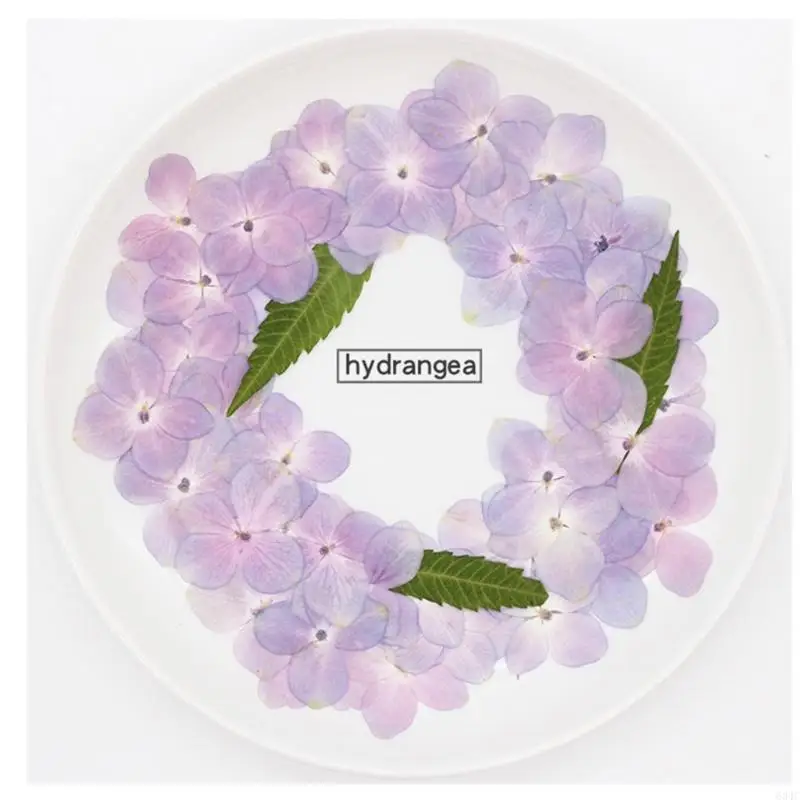 634C 60 Pcs Natural Hydrangea DIY Dried Flowers UV Expoxy Resin Mold Filling Flower