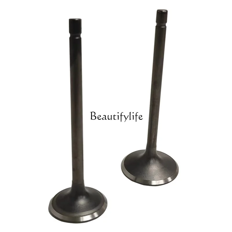 

CG250 motorcycle engine valve for CG250 250CC valve oil seal