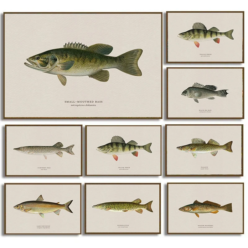 Vintage Bass Fish Trout Fly Fishing Posters Prints Canvas Painting Fisherman Retro Wall Art Picture for Living Room Home Deco