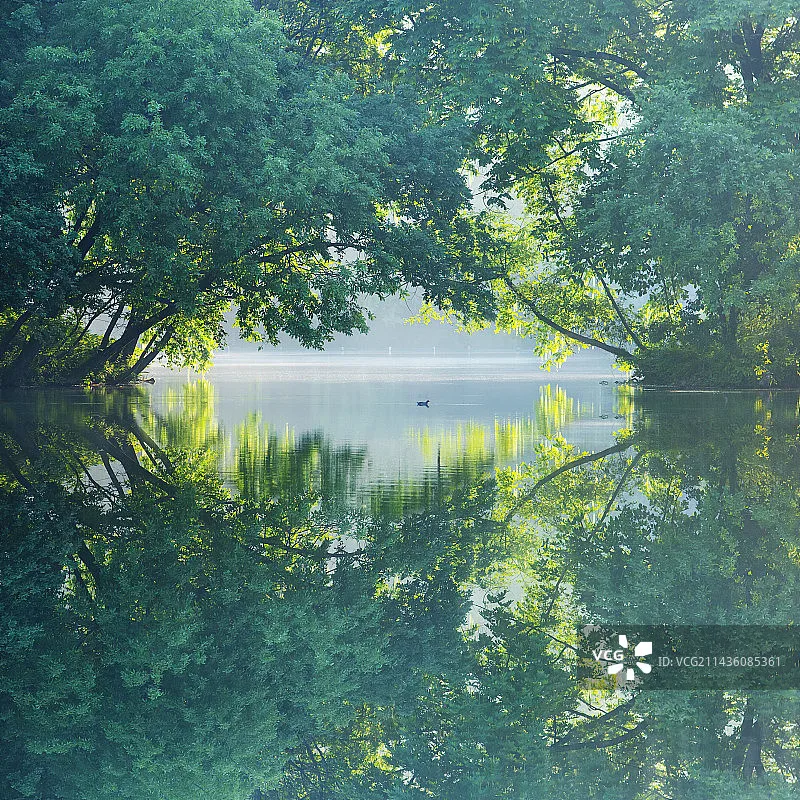 

JJRC New Q200 Small Eight-wheel Gesture Detection Voice Interaction Multifunctional RC Stunt Machine Dog Children Toys Boys Gift