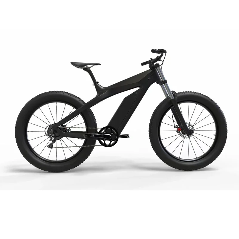 

Super Light Carbon Carbon Fiber China Wholesale 48V 2000 Electric Bike E Cycle E Bike Electric City Bicycle Electric Bicycle