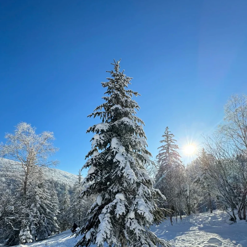 

iFlight Pro Plate Kit For SONY ZV-E10 Camera Mount Drone Parts Compatible with Chimera7 Pro/7 ProV2 Frame