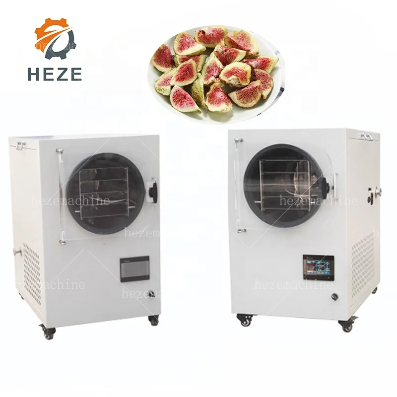 4~6kg Small Vacuum Drying Machine  Dryer Industrial Mini Home Laboratory Food Lyophilizer