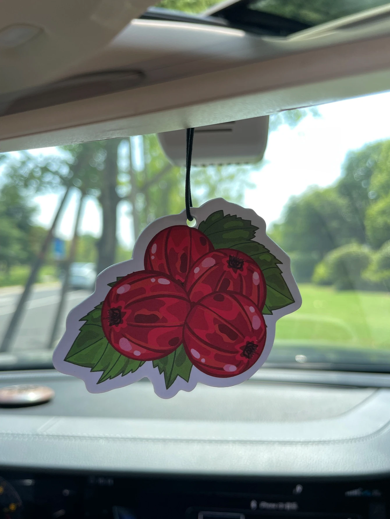 Cartoon Red Currant Berry Hanging Car Air Freshener, Natural Plant Extracted Scent, Alcohol-Free, Heat Resistant, Long Lasting F