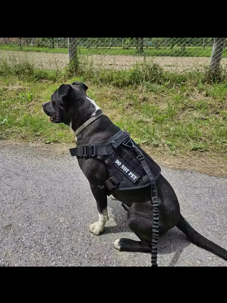 Großes Hundegeschirr mit Leine, Halsband und Molle-Taschen, Trainingshalsband, Weste, taktisches Schäferhundgeschirr für Hunde, Zubehör – Detail 2