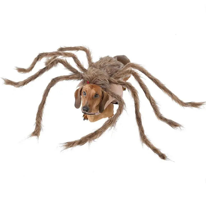 Spider Dog Clothes – Najlepsze stroje dla psów w stylu pająka na Halloweena i inne okazje