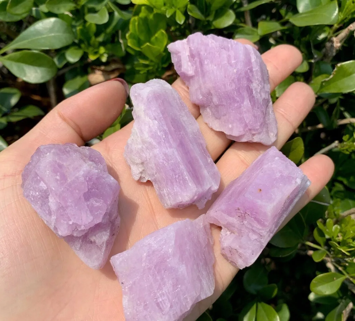 

Natural Raw Kunzite Crystal Purple Spodumene Specimen Mineral Healing Home Decoration Gemstone