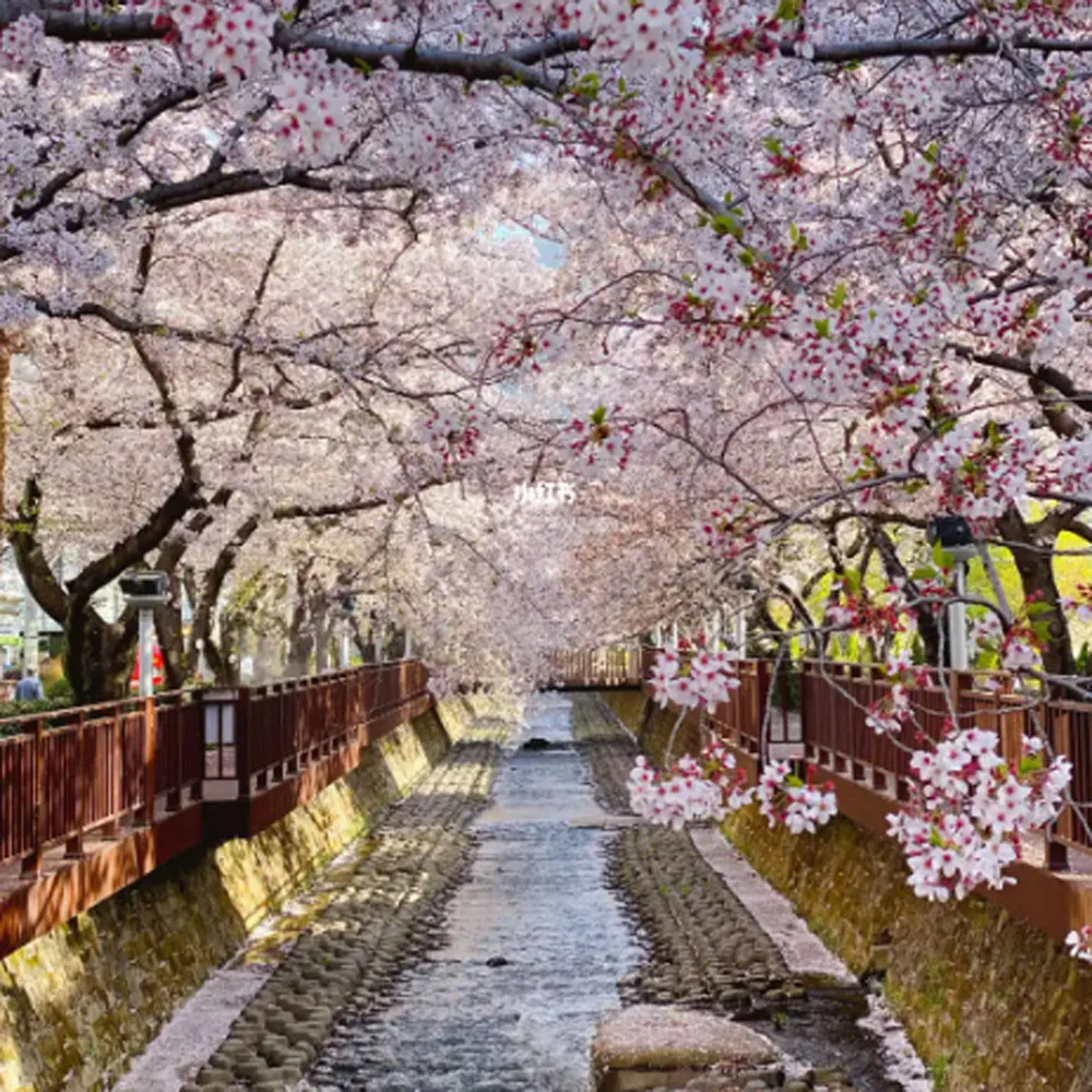 

New Upgrade Ink Cartridge Chip For HP 761 Chip Compatible For HP DesignJet T7100 T7200 Printer CM991A CM992A (MBK C M Y GY DGY)