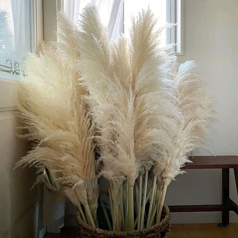 80-140cm Pampas Grass Large Tall xxl Fluffy Pampas Dried Flowers Boho Decor Plant for Vase Home Wedding Decor Flower Arrangement