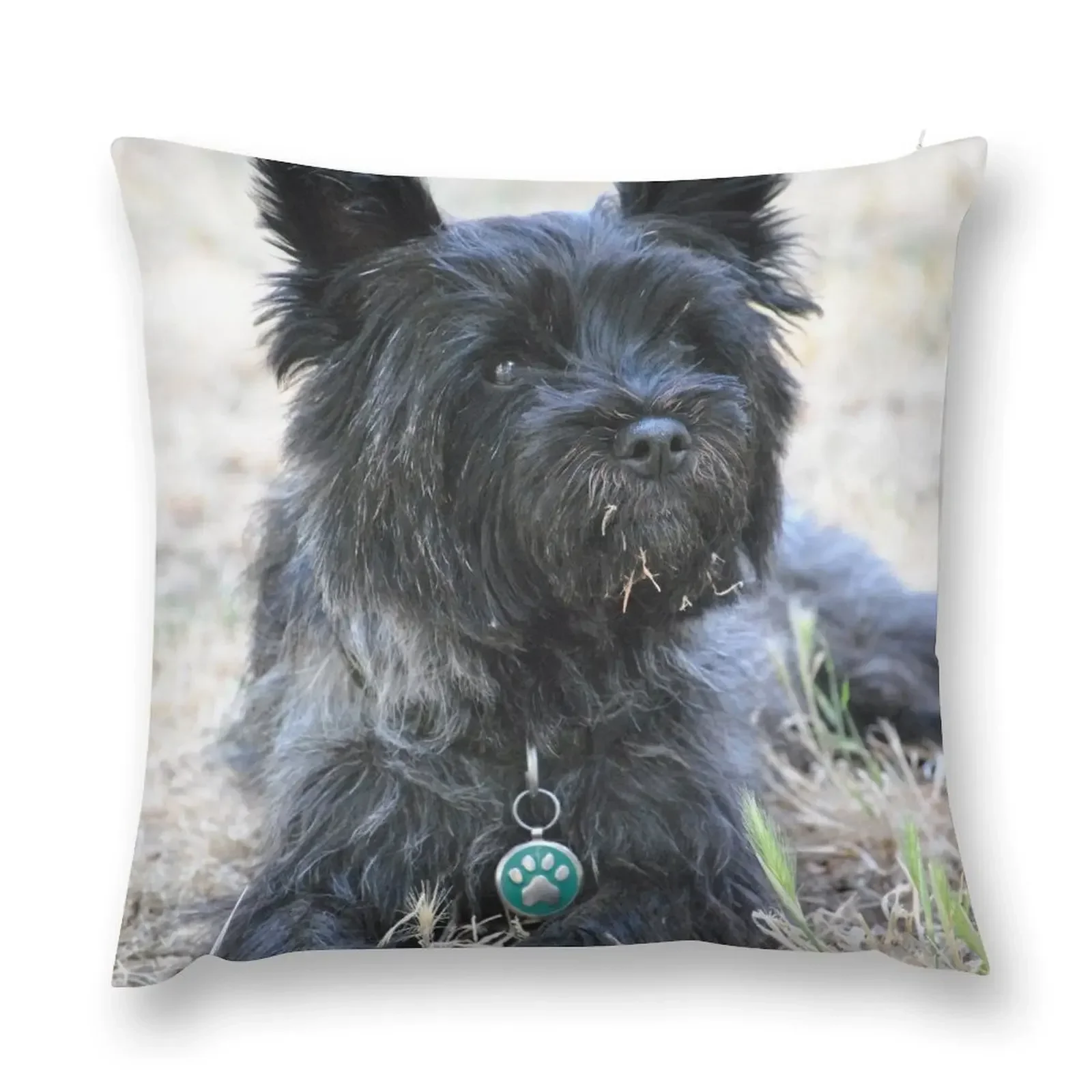 Cairn Terrier Throw Pillow Pillowcase Cushion Decorative Sofa Cushion Cushions Rectangular Cushion Cover pillow