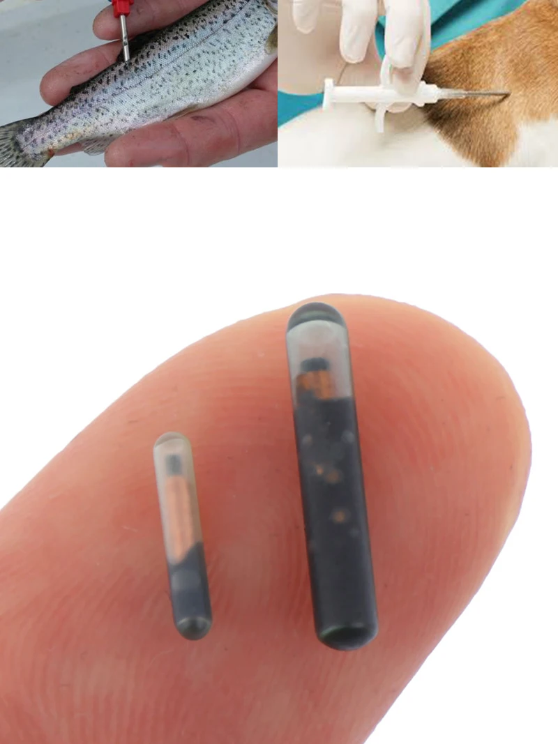 RFID Microchip Animal ID Mini ISO Compliant Pet Cat Dog Transponder Tag With EM4305 Chip For Identification Implant 134.2KHZ