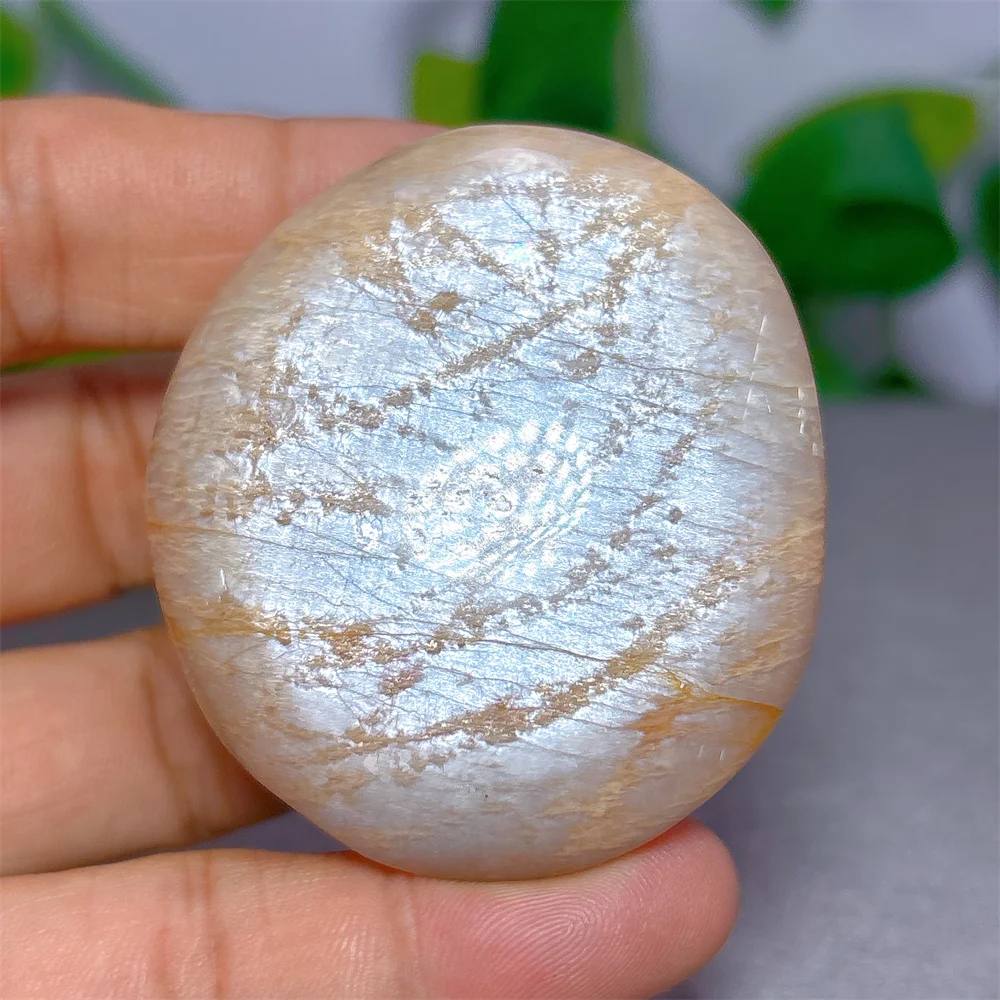 Moonstone With Gold Sun Palm Crystal Natural Stone Quartz Minerals Home Decoritems Reiki Garden Lucky Love Gifts Energy Healing