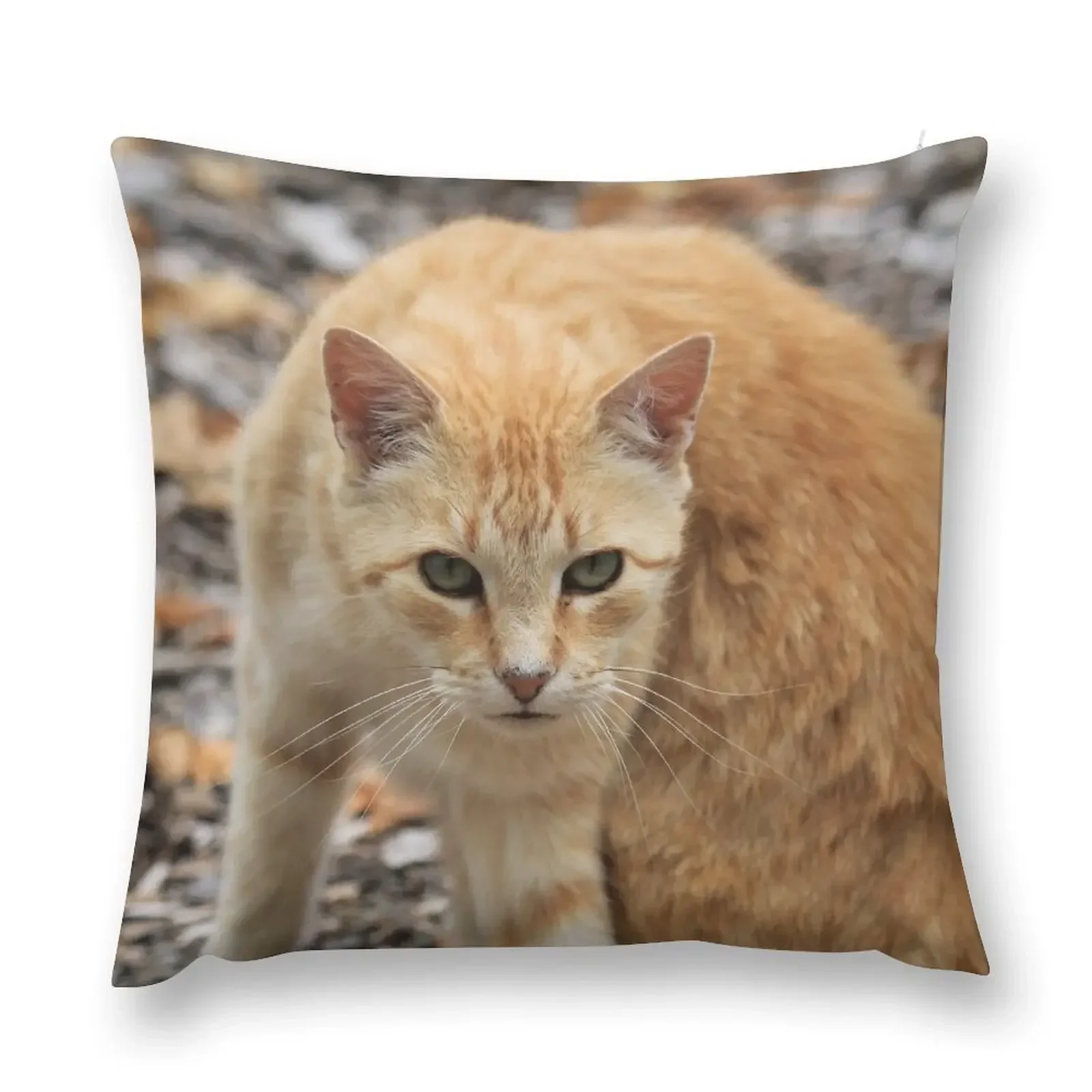 

Ginger Cat Throw Pillow sleeping pillows ornamental pillows for living room Pillow Decor pillow