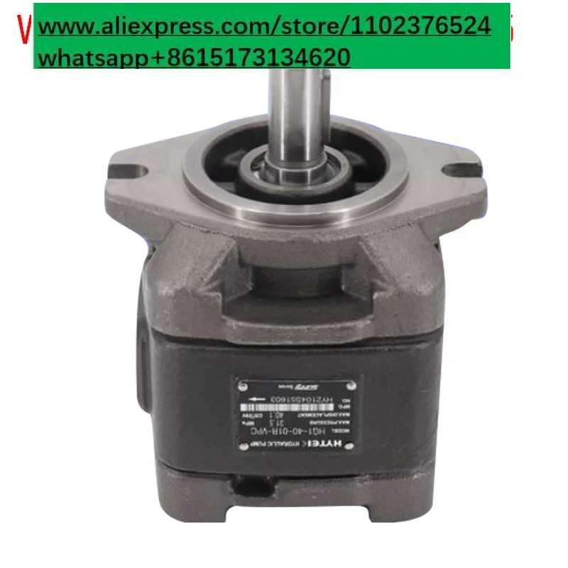 Internal gear pump HG2-160/125/100/80-01 R-VPC-SUNNY servo oil pump