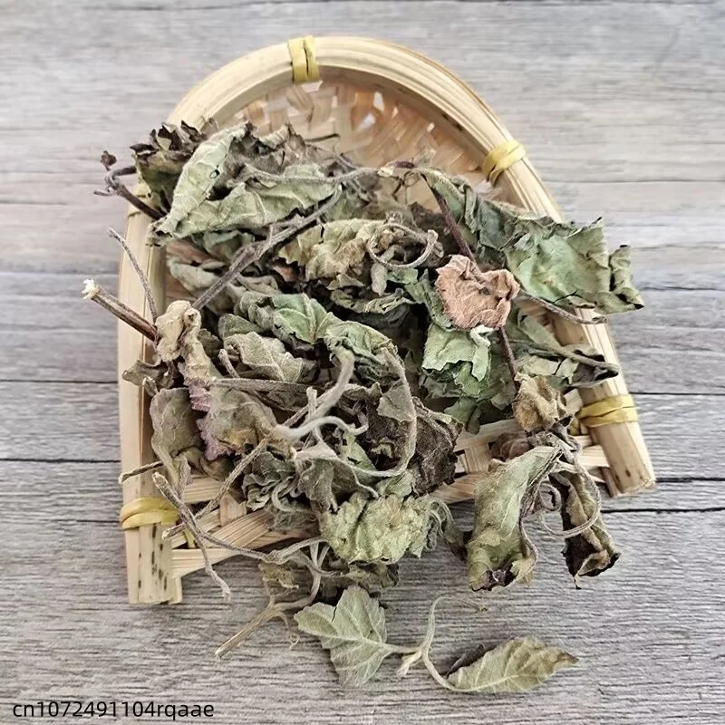 Premium Dried Patchouli/Perilla Leaf Pure Natural Herbal Spice Dried Agastache Rugosa Leaf for Aromatherapy & DIY Crafts