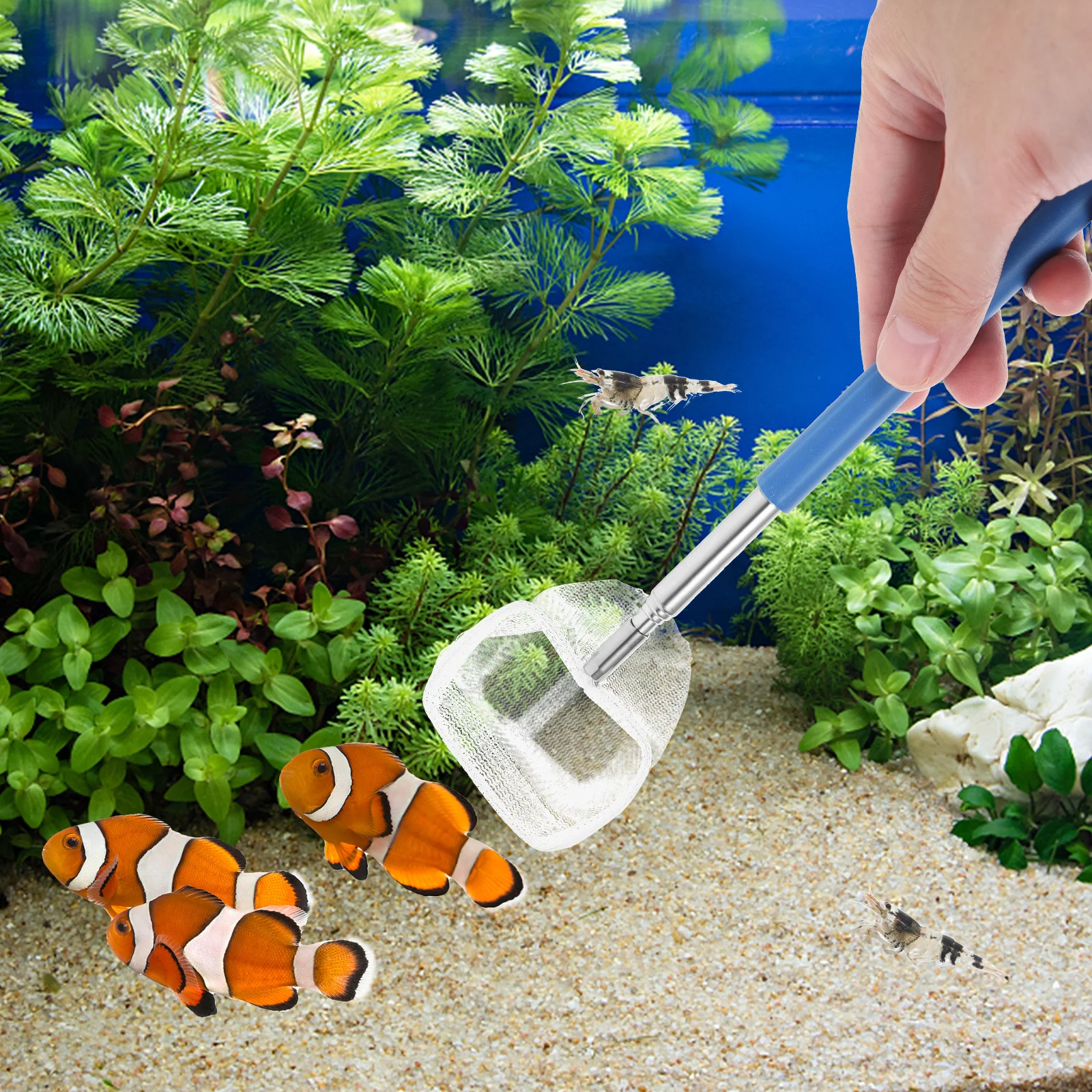 2 قطعة شبكة الروبيان تلسكوبية من الفولاذ المقاوم للصدأ شبكة أرضية الأسماك للمياه العذبة والمياه المالحة أداة صيد الأسماك المحمولة #2