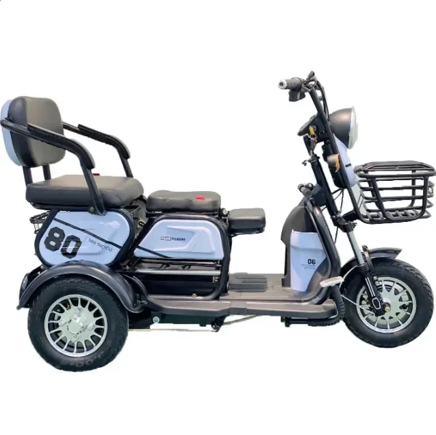 China Factory Directly Supply Tricycles Motorcycle 3 Wheeler Moped for Handicapped