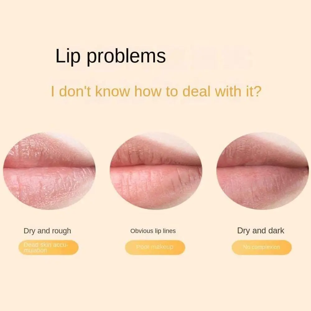 Anti-cracking Women Cosmetic Lip Balm Set Makeup Lip Gloss Lips Care Moisturizing Lip Balm Fruity Scent Lip Balm Lipstick