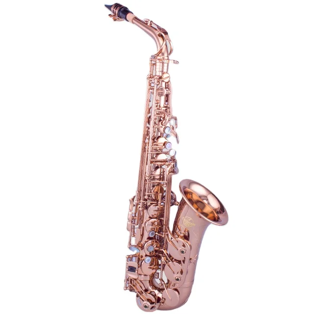 Champagne Gold Alto Saxophone With Accessories