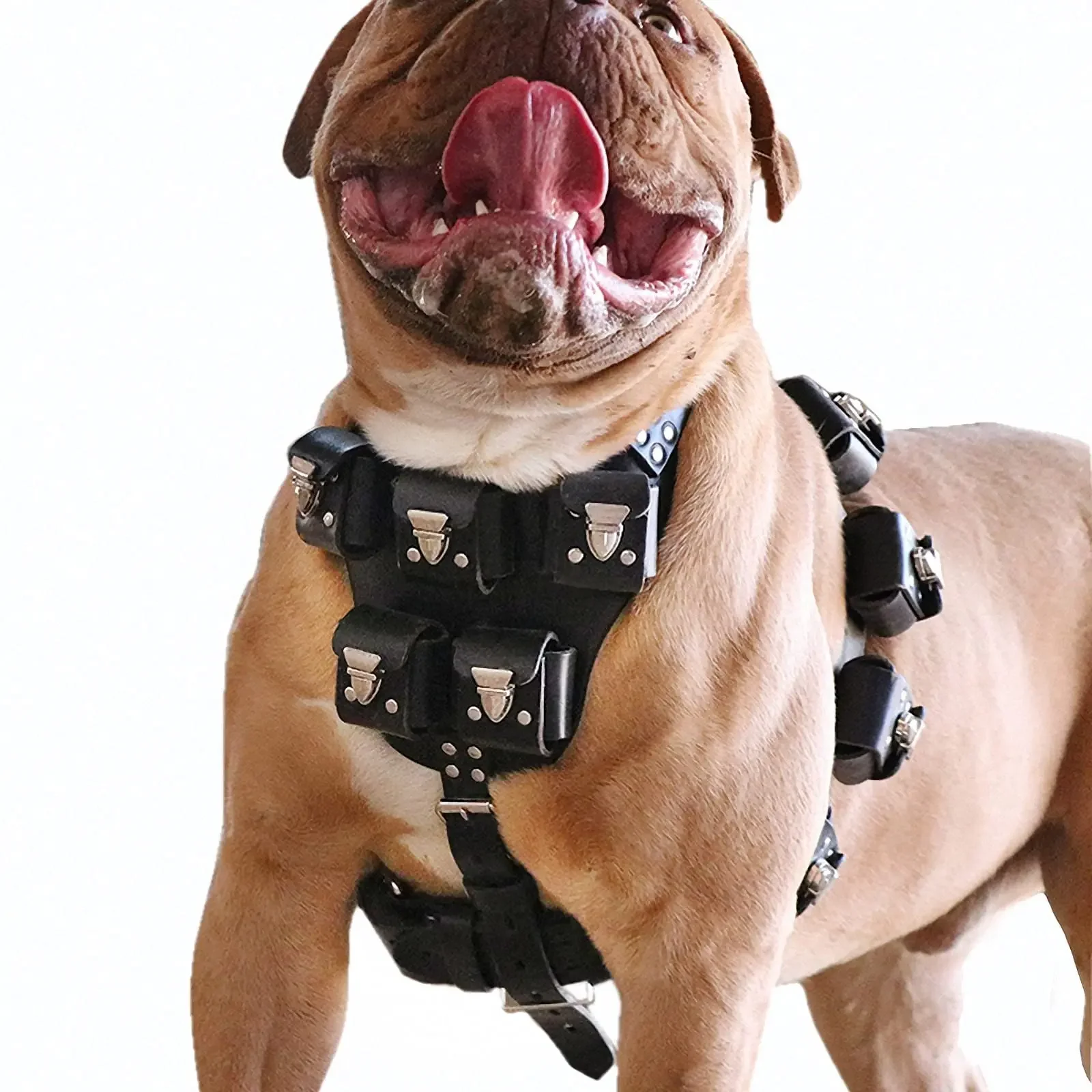 

Weighted Dog Harness With Pockets Best Weight Pulling Harness For Large Dogs Pitbull Custom Weights Leather Dog Biker Vest