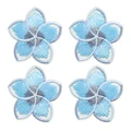 PE17081CT