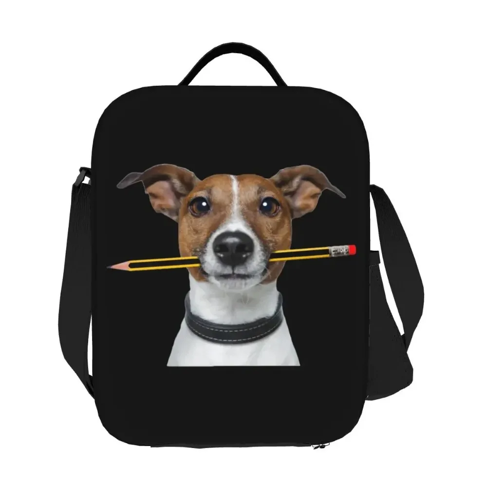 Jack Russell Terrier cane con matita scatola da pranzo portatile multifunzione dispositivo di raffreddamento termico per alimenti borsa da pranzo isolata scuola per bambini