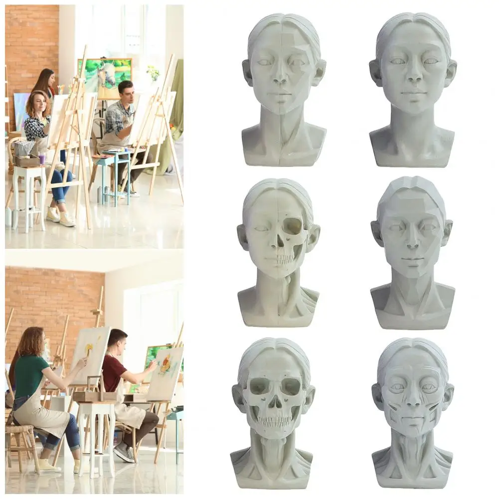 Planar Head Model for Artistic Learning Anatomy Teaching Tool Drawing Tool Set Planar Head Models for Artists for Sketching