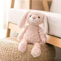 Pink Rabbit