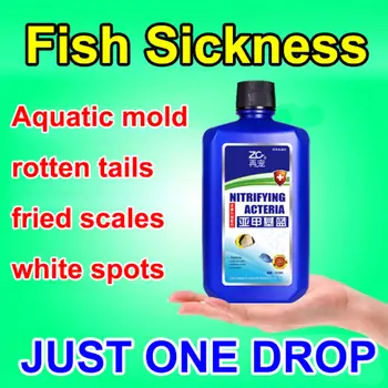 10 best sales Batteri dell'acquario - №5