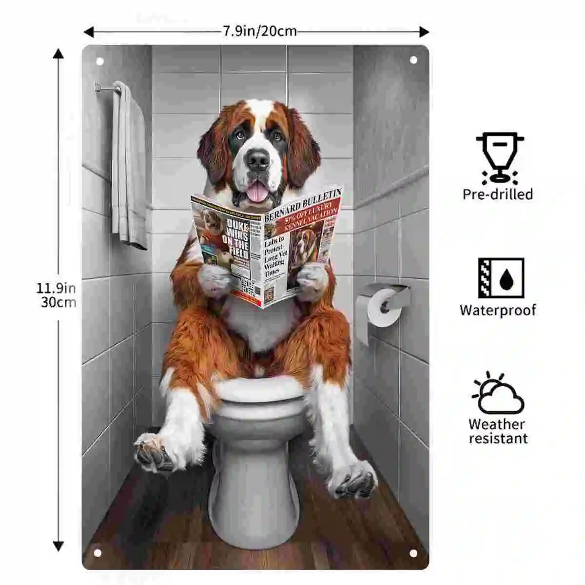 2D FLAT 1pc Funny Saint Bernard Dog Reading Newspaper On Toilet Metal Wall Sign Decoration for Bathroom Home Cafe Garage Bedroom