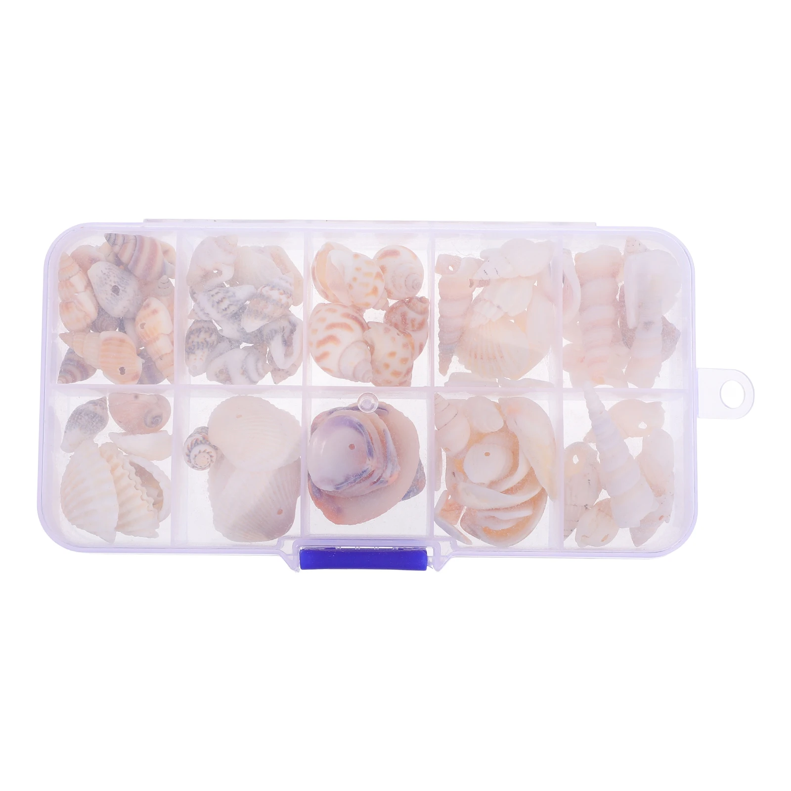 

Colorful Shell Jewelry Accessories Small Craft Shells Conch for Fish Tank Decorative Seashells DIY Decoration Natural Decor