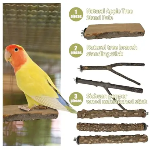 10 best sales पक्षियों के खिलौने - №9