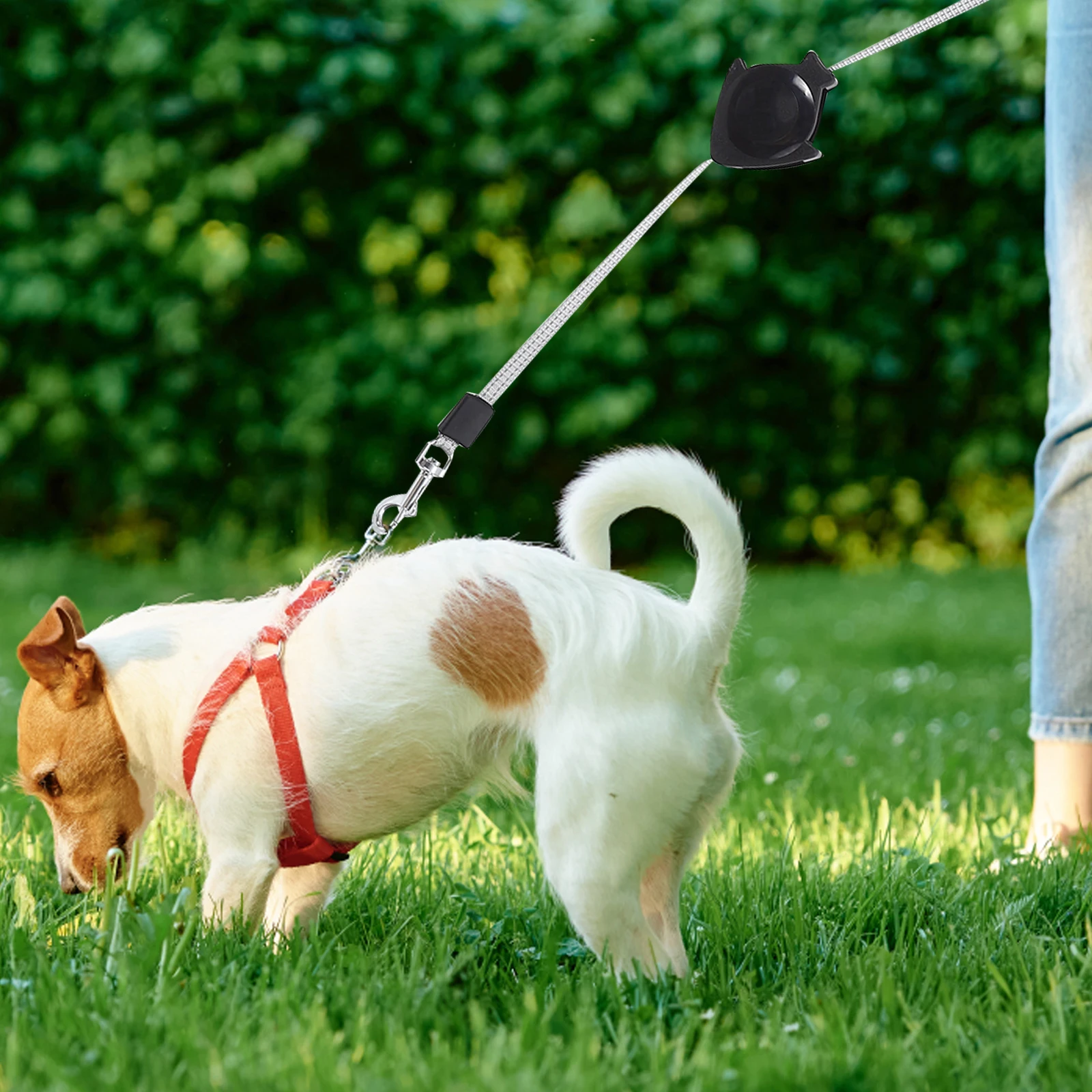 

Automatic Retractable Dog Leash Durable Telescopic Traction Rope Pet Training Lead Long Lasting Heavy Duty Metal Hook