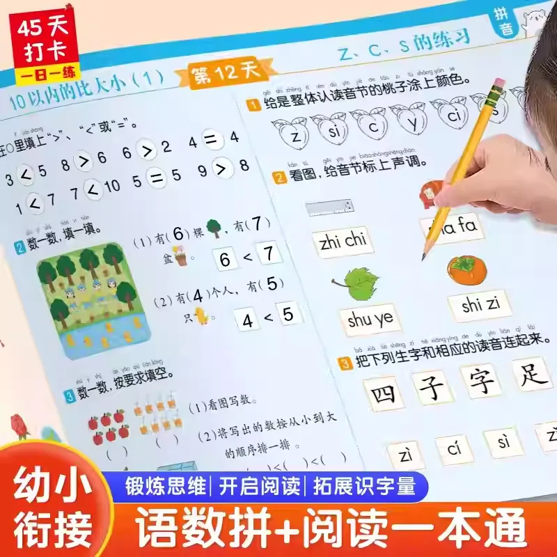 Specialized Training for Early Childhood Transition, Pinyin, Chinese, Mathematics, Reading and Literacy