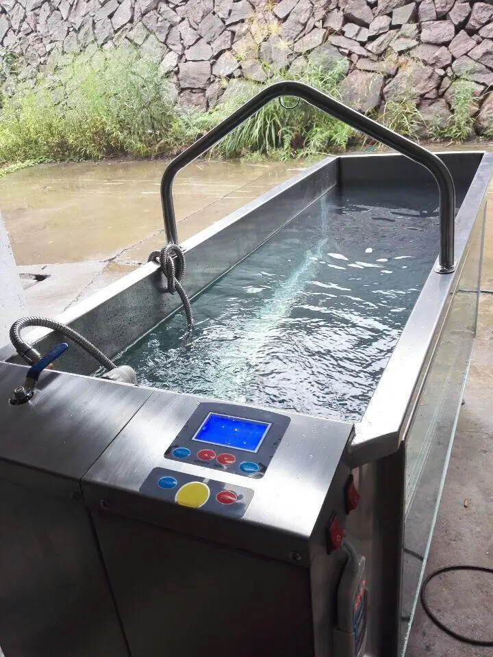 1.75HP Factory Direct Sale Spa Treadmill Adjust Water Temperature Dog Underwater Running Therapy Machine C280 Silent Indoor