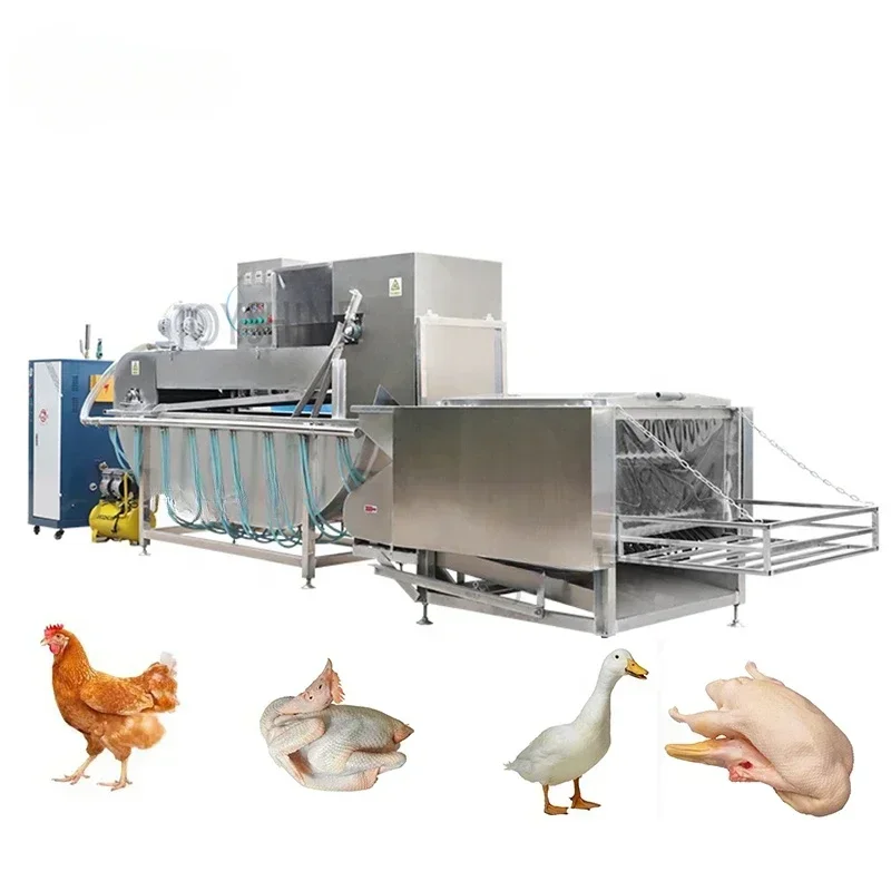 Automatic Abattoir equipment halal poultry chicken slaughtering processing scalding plucking machine for sale