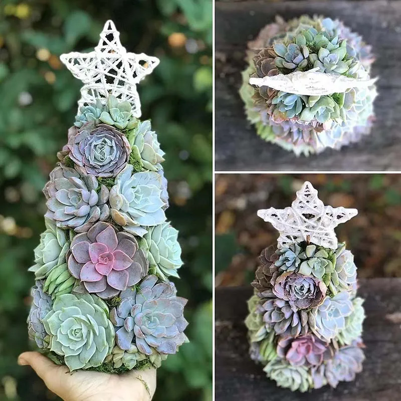 

‌Succulent Christmas Tree - Resin Potted Plant Figurine, Cute Holiday Decor, Home & Office Ornament