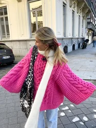 Fashion Knitted Women Sweater Loose High Neck Long Sleeve Sweater Female 2024 Autumn Winter Oversized Lady Pullovers Outwear