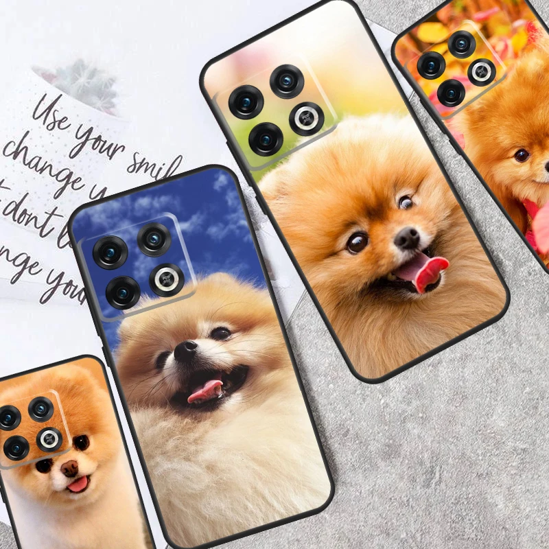 Pomeranian Dogs Dog Colorful Case For OnePlus 12R 10T 9R 10R 12 11 9 10 Pro OnePlus Nord 2 2T CE 3 Lite N20 N10 Cover