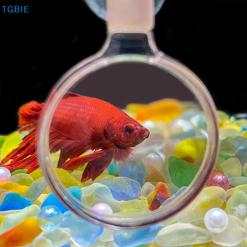 [TL]【TL】Aquarium Magnifier Acrylic Suction Cup Viewer Fish Tank Viewer Magnifying Glass Small Animal Plant Aquarium Equipment