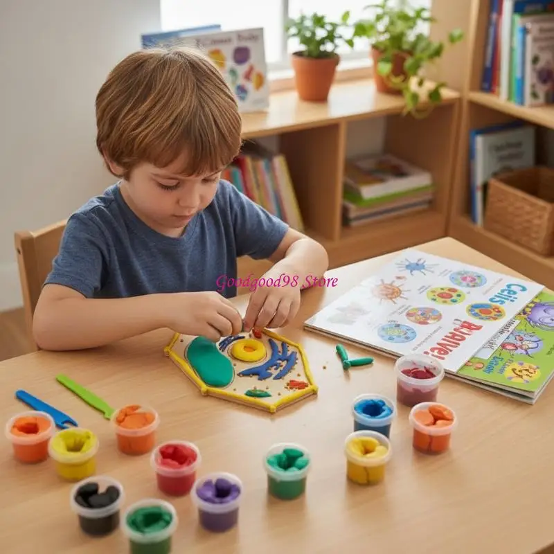 User Friendly Cell Structure Modeling Set Biology Teaching Aid Suitable for Classroom Labs Homeschool Activity