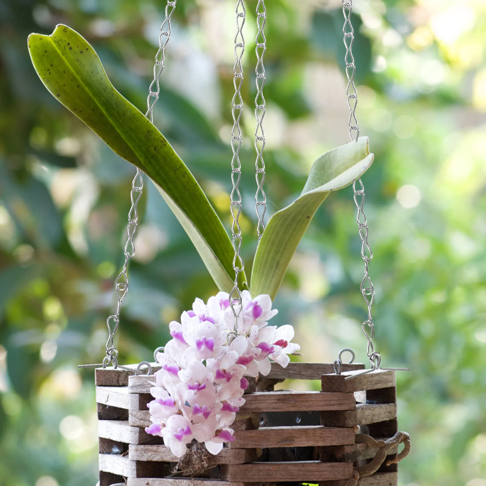 

8Pcs Hanging Basket Chain Metal Hooks Sturdy Plant Pot Replacement Hanging Chain for Flower Pot Birdcage Display