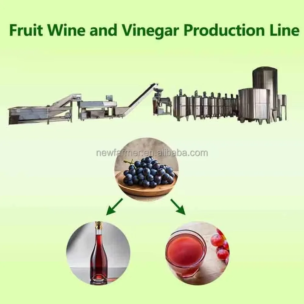 Complete Full Automatic Fresh Fruit Wine Vinegar Processing Line Drink Production Line Beverage Making Machine Factory