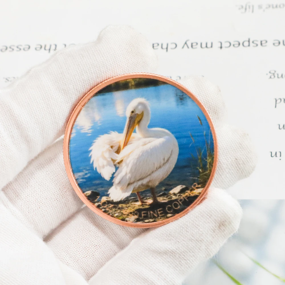 1pc 1oz .999 Fine Copper White Pelican Collectible Coin Color Print Wetland Wildlife Pelican Commemorative Token Collectors Gift