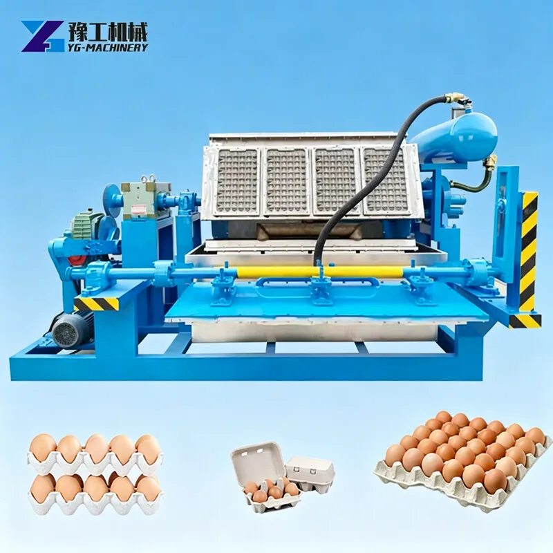 Customized Small Scale PLC Egg Tray Machine–1000-8000pcs/h, 380V, Carton Production, Easy Operation&Maintenance, High Efficiency