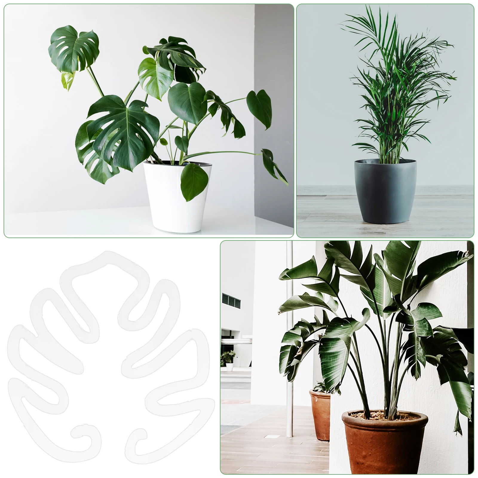 

2pcs Plant Transparent Stem Holder Garden Flower Stakes Trellis Acrylic Houseplant Supports Reusable for Indoor