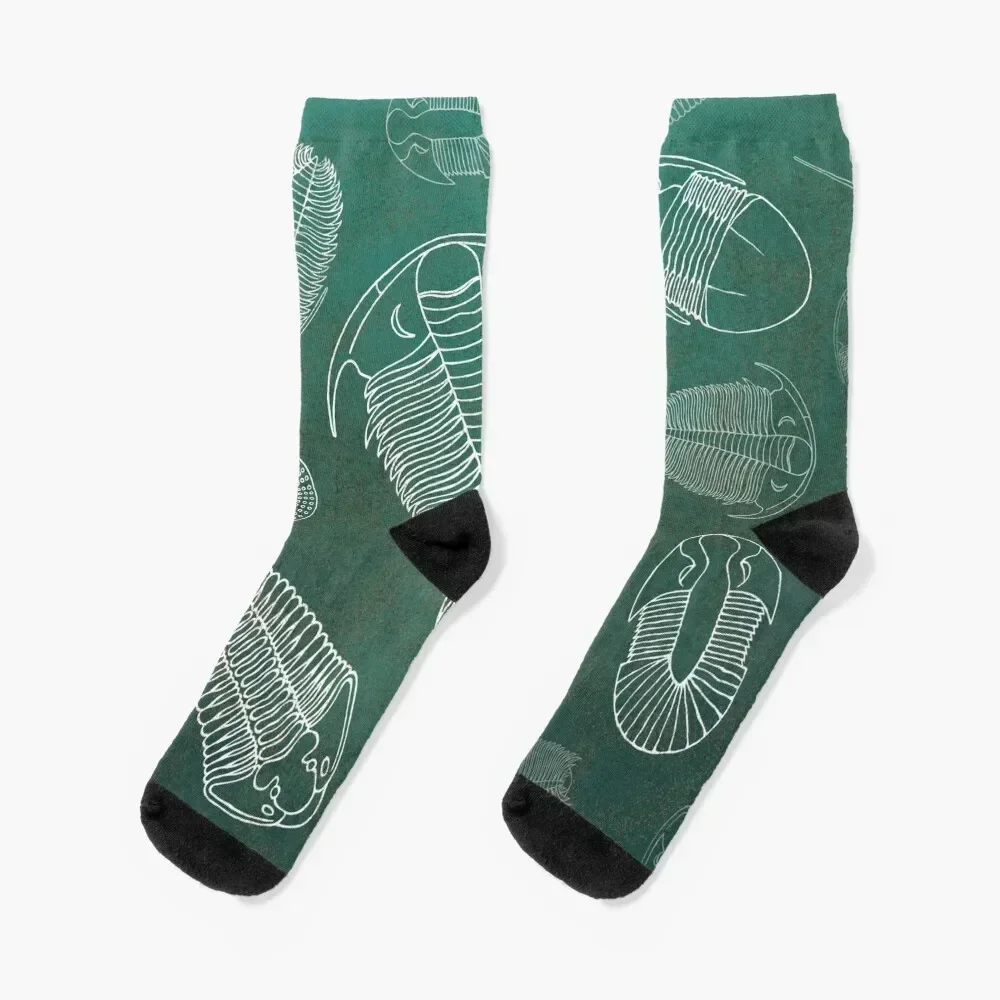 Trilobites on green Socks bright garter luxe Thermal man winter Toe sports Men's Socks Luxury Women's