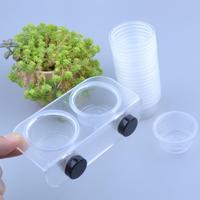 Chameleon Feeder Gecko Food Dish Easy-Clean Water Feeder For Lizard Turtle Bearded Dragon Tortoise Fish Tank Decor